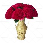 Combo Clavel
