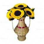 Combo Girasol