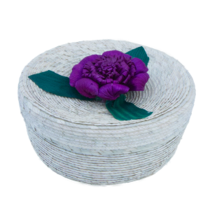 Tortillero Nao Violeta
